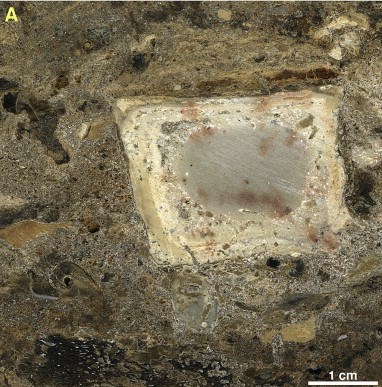 Scan of a sediment “slice” from the hearth area of the cave showing burnt bone and rock fragments within the gray ash residue