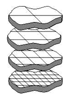 hierarchical organization of space-time