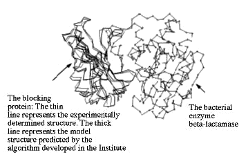 Computerized molecular recognition