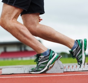 Running muscles may be predominantly fast- or slow-twitch