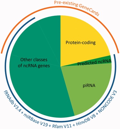 New and improved GeneCards, over 100,000 separate entries: The orange arc shows GeneCards before the addition of the ncRNAs in the study, the blue those added in the study (with an overlap of around 14,000 entries)