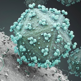 HIV and cell membrane. Image:ThinkStock