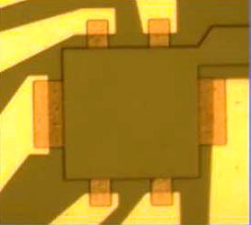 Microscope image of the sample, with electrical contacts