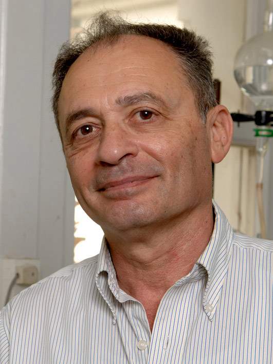 Prof. David Milstein 
