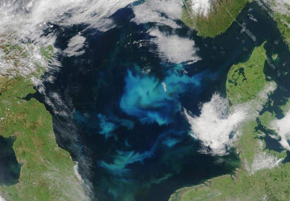 Algal bloom in the North Sea