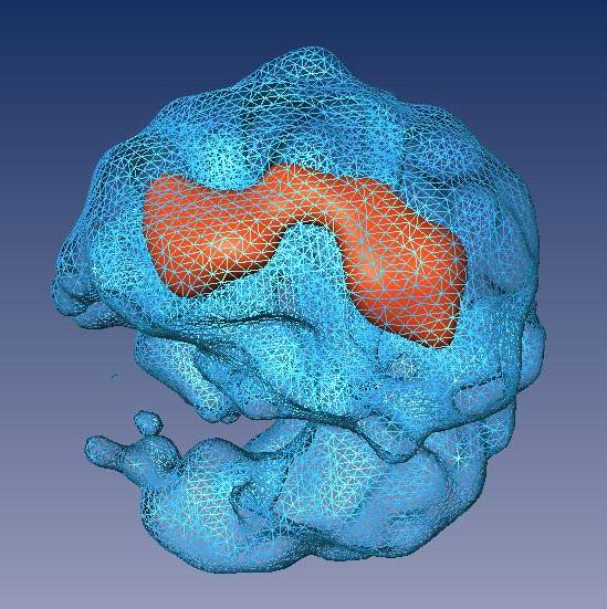 A view of the spliceosome showing internal details