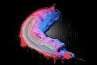 infrared silkworm