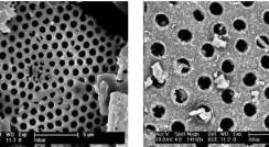 Scanning electron microscope images of representative samples of (left) clean diatomite and (right) diatomite composite with zero valent iron (small white dots) and vitamin B12 (not visible)