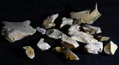 Flint tools found at the Evron Quarry. Photo: Zane Stepka