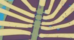 Optical image of a graphene device 