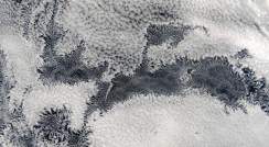 Satellite image of a marine stratocumulus system, courtesy of NASA