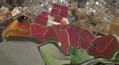 Bacteriorhodopsin-containing microorganisms give these evaporation ponds near San Francisco their color