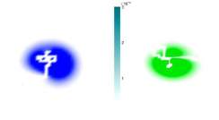 probability maps infotaxis and sociotaxis