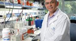 Prof. Yosef Shaul. A lifelong quest