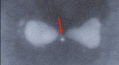 A bowtie-shaped nanoparticle 