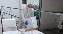 Prof. Robert Fluhr, director of the Nancy and Stephen Grand Israel National Center for Personalized Medicine at the Weizmann Institute of Science, receives the first shipment of tests arriving at the Weizmann Institute