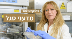 ד"ר רחל סריג. התחדשות תאי שריר בלב