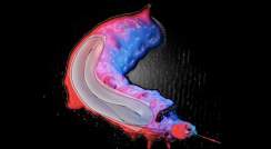 infrared silkworm