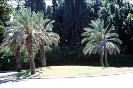 Weizmann Institute Gardens