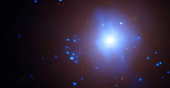 the destruction of a star in a black hole's gravitational 