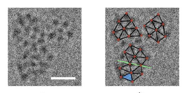 Correlation between cryo-transmission electron microscope (TEM) images and the crystal structure