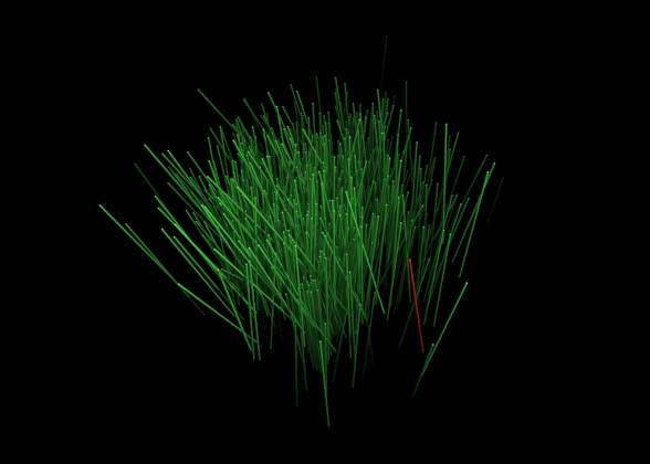 Molecular grass - fruit of thousands of years of research 