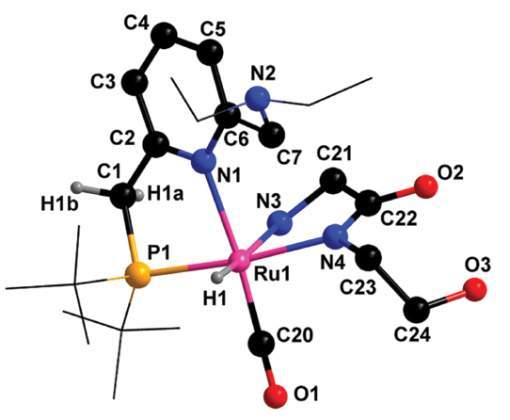 SUSCAT | New Directions in Sustainable Catalysis by Metal Complexes