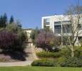 Weizmann Institute Gardens