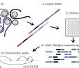 EVOEPIC | Evolutionary mechanisms of epigenomic and chromosomal aberrations in cancer
