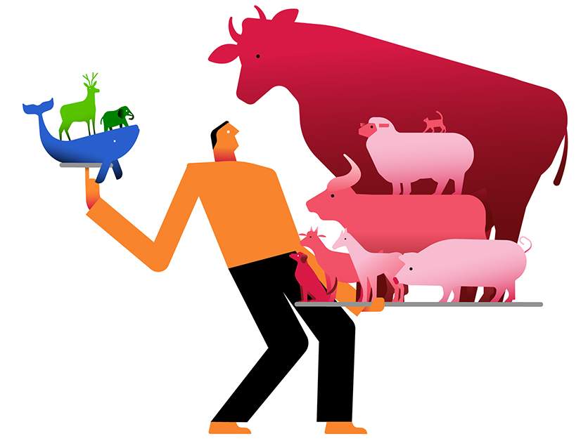 Heavy imbalance: The biomass of humans, livestock, pets and wild mammals (Illustration: Itai Raveh)