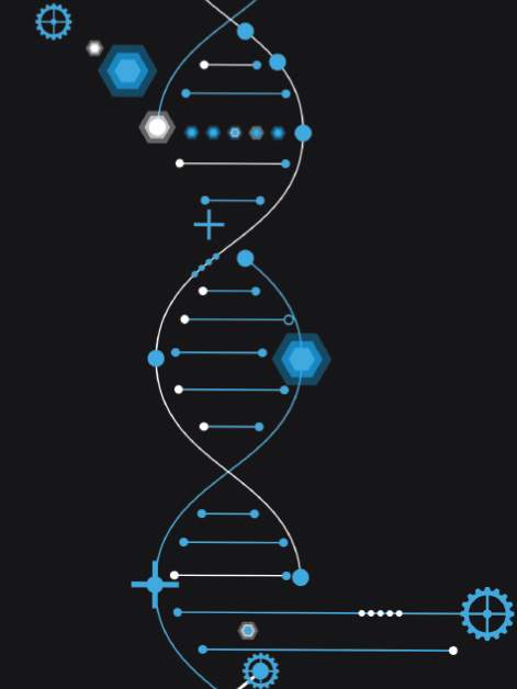 Shutterstock