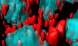 MeCP2 and neurons