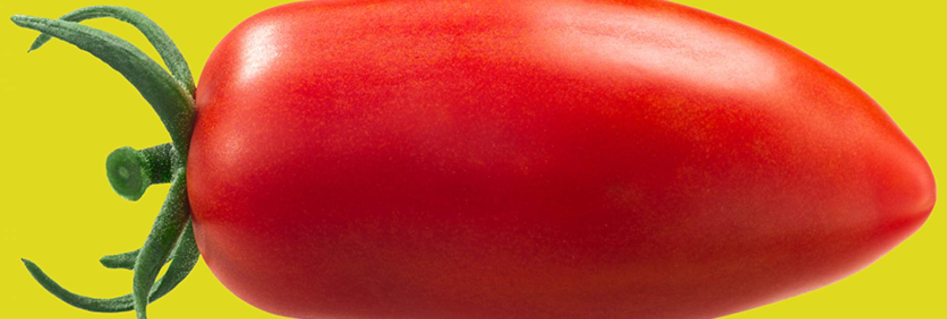 Tomato; Shutterstock