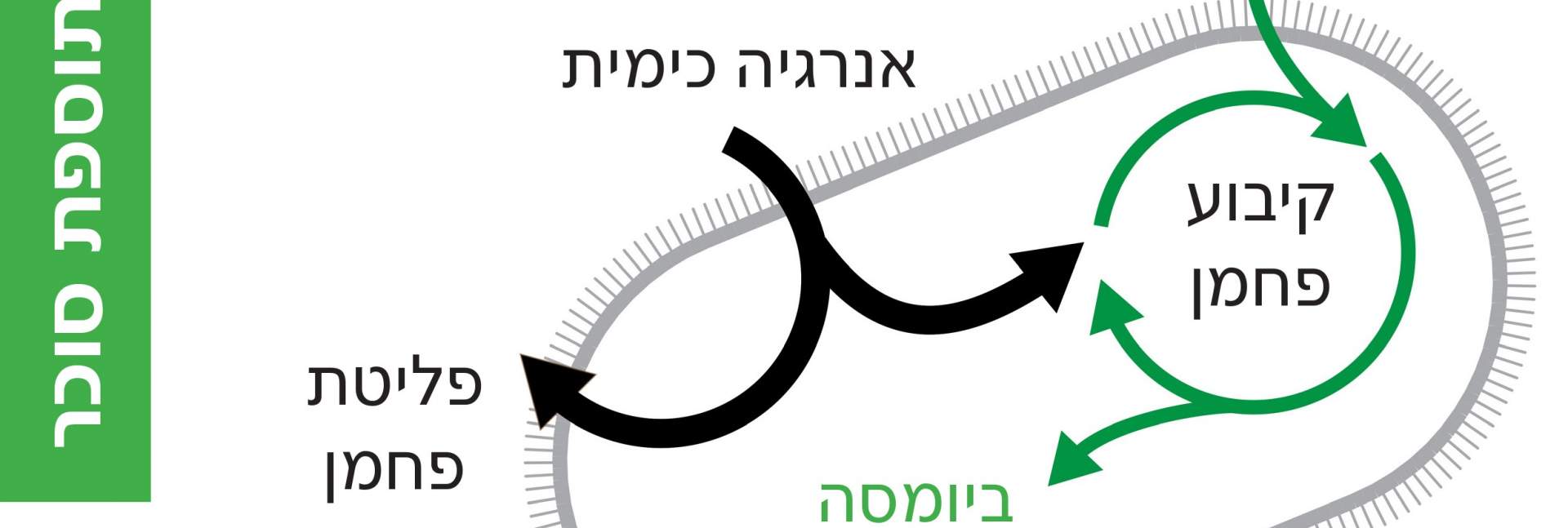 החיידק שפיתחו החוקרים