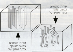 שדות מגנטיים לנצח