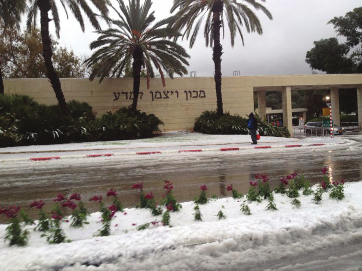 הכניסה הראשית של המכון מושלגת. צילום: צבי ביז'ונר, אחיו של אליעזר ביז'ונר, מאגף מערכות מידע